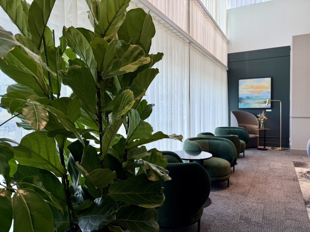 Seating and foliage at the Amex Centurion Lounge AMS.