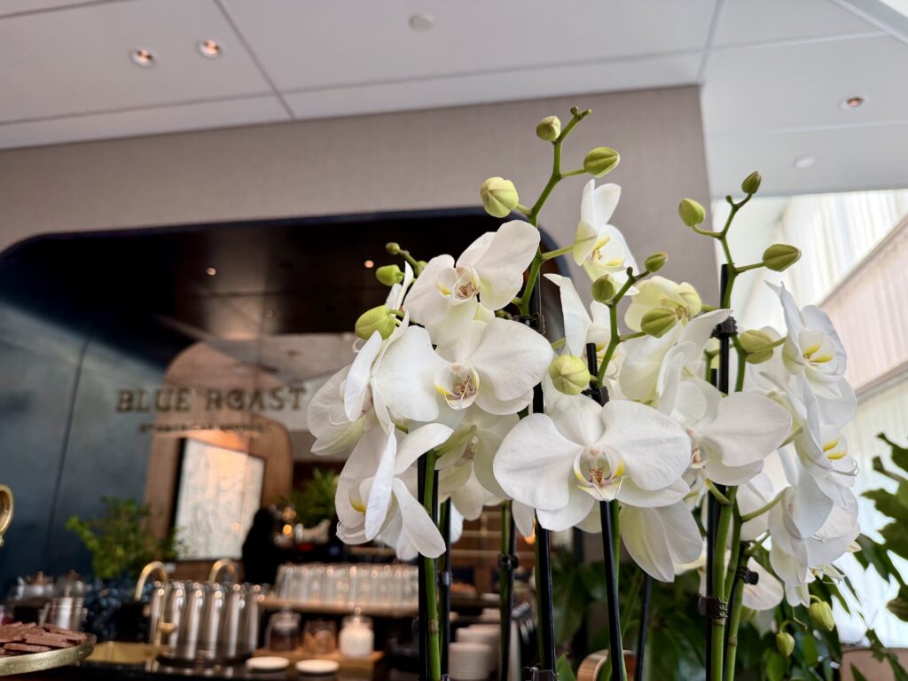 Foliage at the Amex Centurion Lounge AMS.