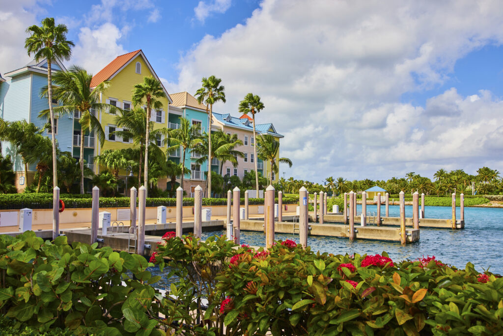 Tropical Luxury Living, Dock and Palm Trees at Paradise Island, Nassau, Bahamas