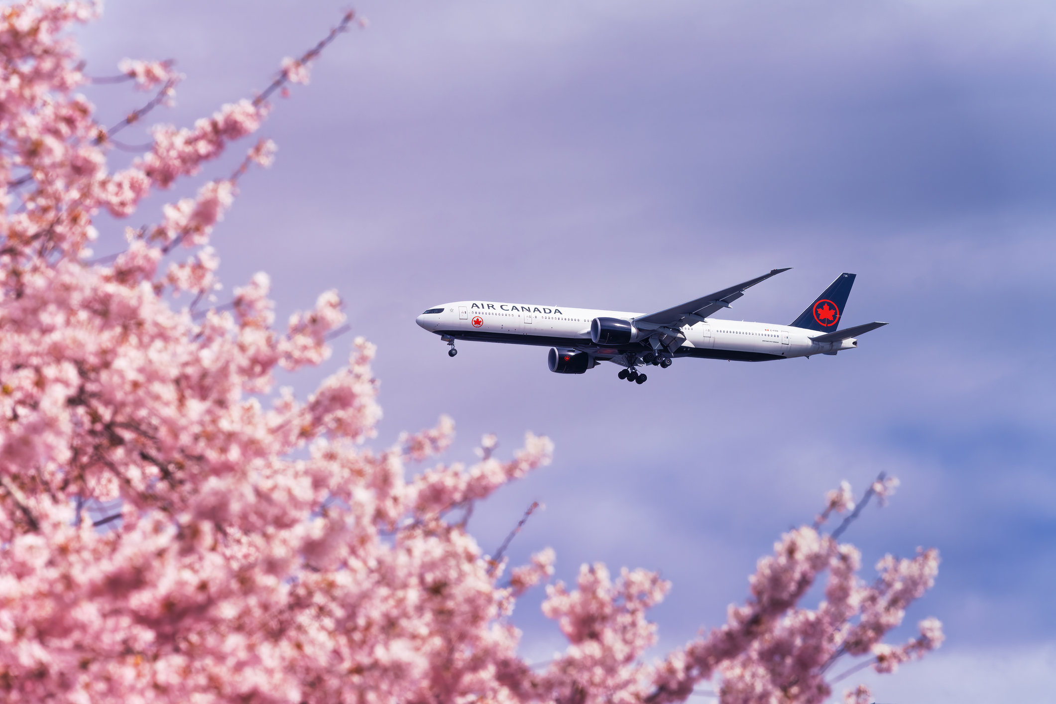 Marriott Transfers to Aeroplan Get a 15% Bonus This Month