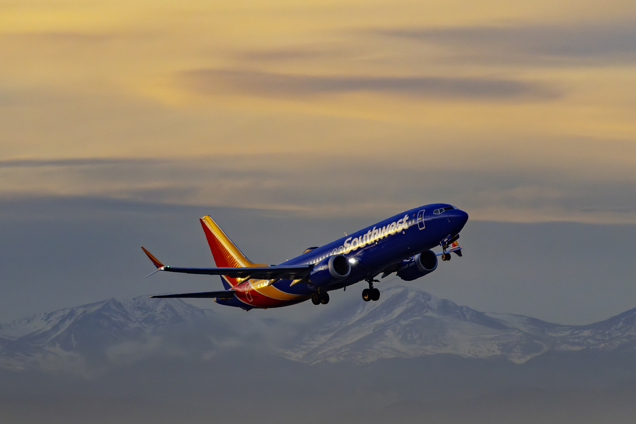 2 Southwest Business Card Offers to Have on the Radar